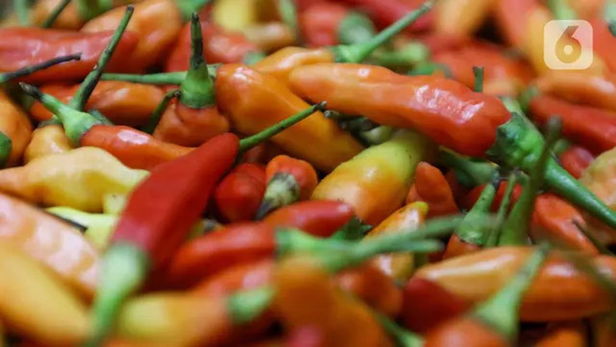 Cara Menggoreng Cabai Tanpa Letupan Minyak, Cukup Pakai 1 Bahan Dapur Ini