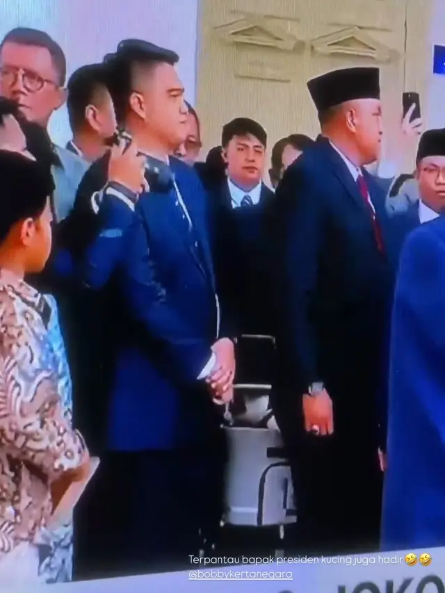 Kucing Prabowo