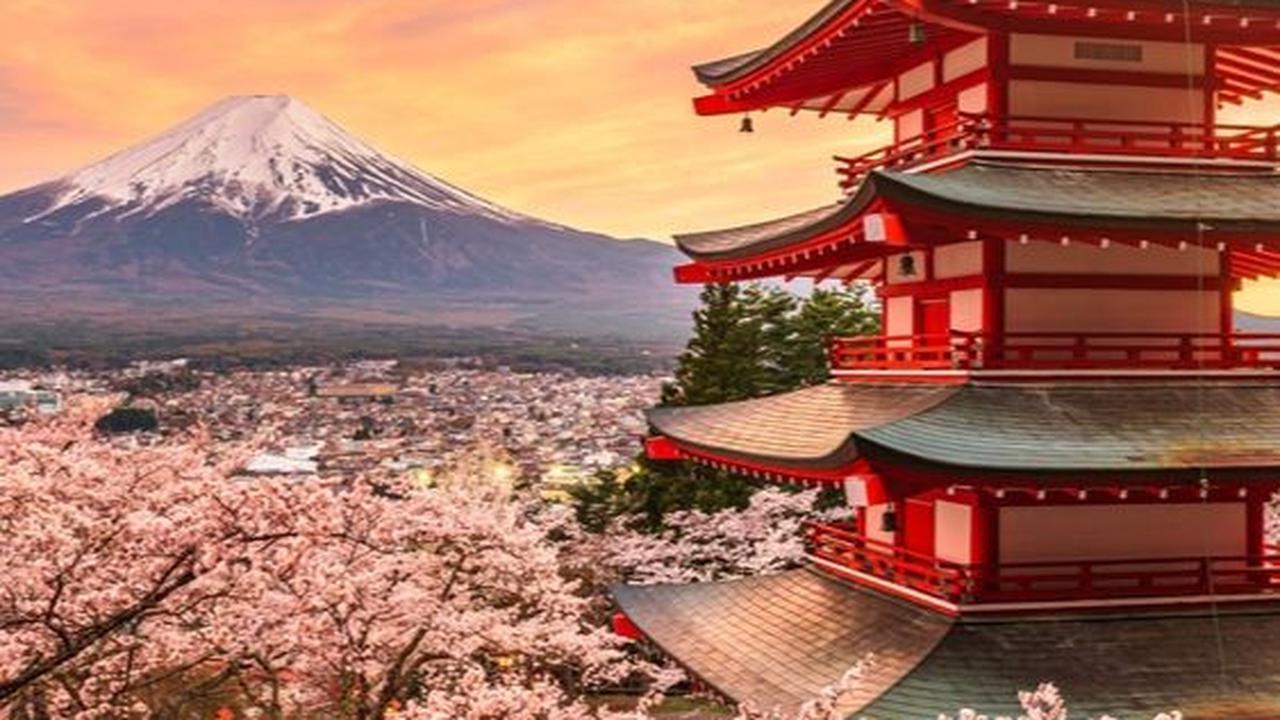 Privilege Istimewa Saat Liburan ke Jepang