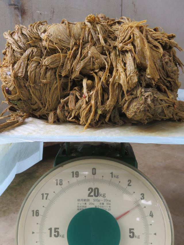 Sampah di perut rusa