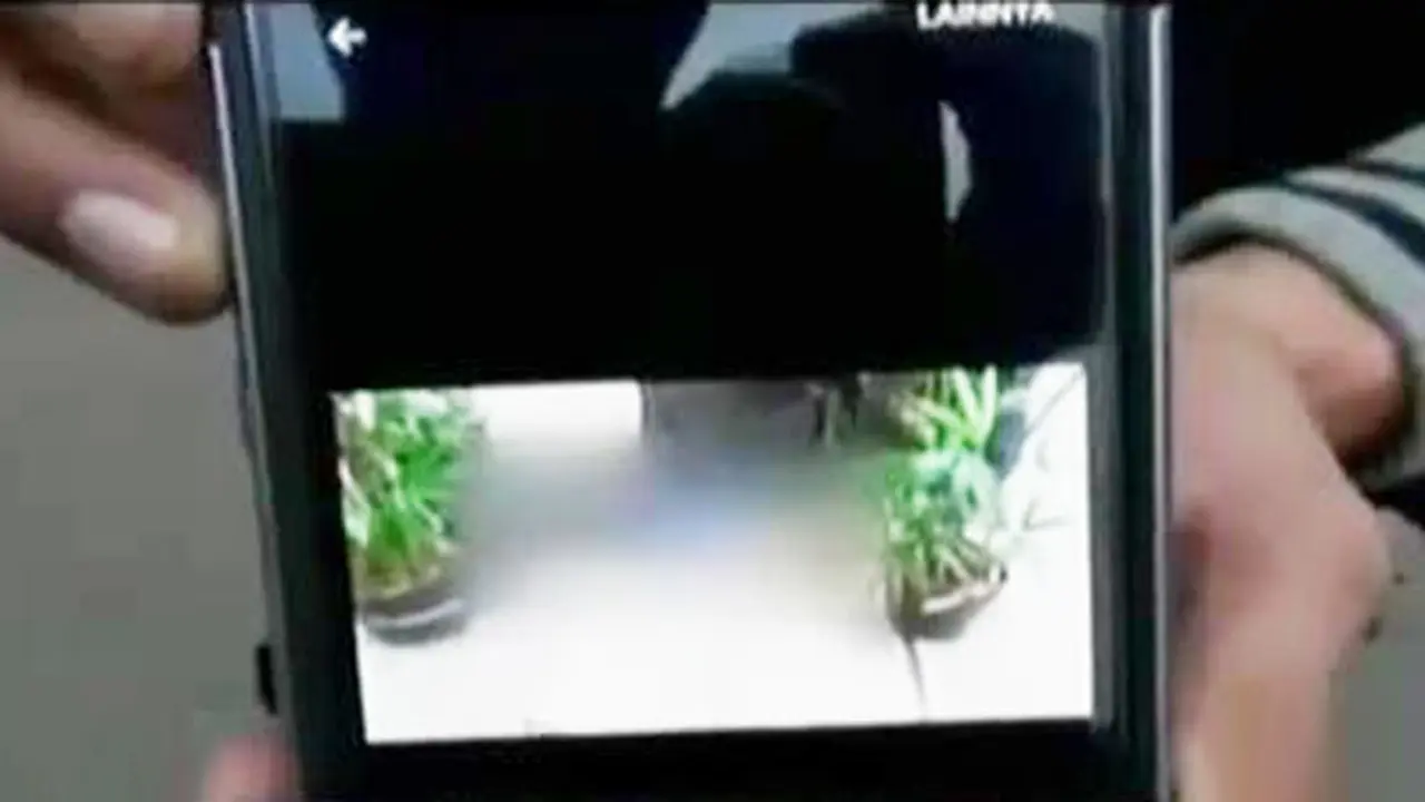 Bocah Tewas Terjatuh hingga SCTV-TNI Rawat Terumbu Karang