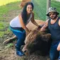 Terapi memeluk sapi (Sumber: Instagram/mountainhorsefarm)