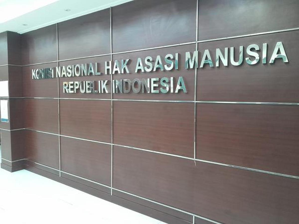 Komnas HAM Kritik Pigai Soal Tim Asesor Aktivis HAM, Ini Alasannya