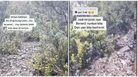 Video Pendaki Dipandu Burung Jalak saat Tersesat di Gunung Lawu Ini Jadi Sorotan (sumber: TikTok/mocha_doank)