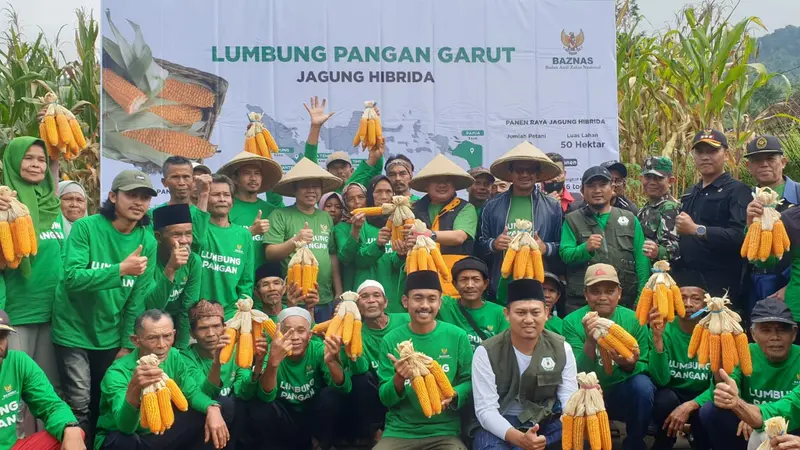 Rizaludin Kurniawan, salah satu pimpinan Baznas RI, bersama Bupati Garut Rudy Gunawan dan perwakilan petani dalam panen raya jagung program lumbung pangan Banzas RI di Desa Mulayajaya, Banjarwangi. (Liputan6.com/Jayadi Supriadin)