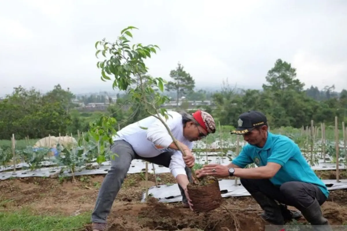 Bupati Temanggung Agus Setyawan menanam pohon di Desa Batursari, Kecamatan Kledung, Minggu 19 April 2026.