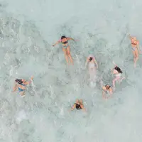 Hari Air Sedunia, WALHI sebut air memiliki hubungan erat dengan ekosistem lainnya seperti hutan.  | pexels.com/@jess-vide