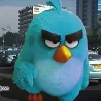 Aksi Netizen Ketika 'Blue Bird' Menjadi 'Angry Bird'