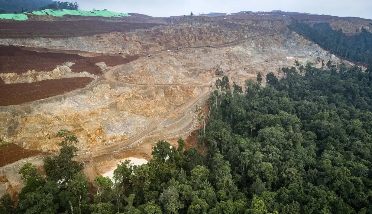 Deforestasi akibat aktivitas eksploitasi proyek pertambangan nikel terbesar di dunia yang beroperasi di sana. (Foto oleh AFP)