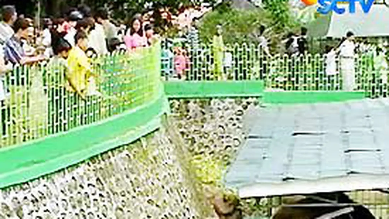 081003cwisata-padang.jpg