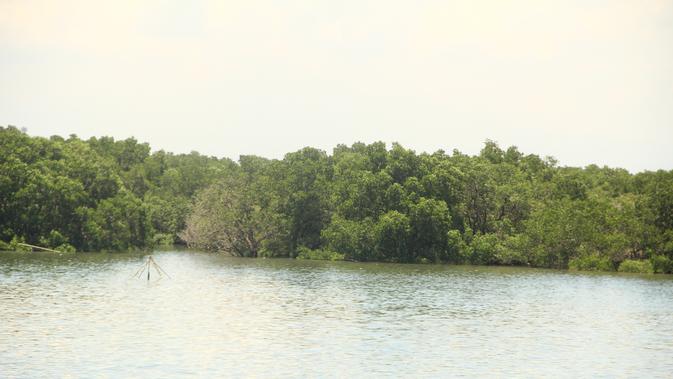 DPRD Bongkar 82 Hektare Taman Hutan Raya Ngurah Rai Dikuasai KEK Kura Kura Bali