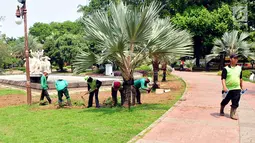 Para pekerja merapikan rumput yang ada di Taman Banteng, Jakarta Pusat, Sabtu (7/10). Proyek revitalisasi Lapangan Banteng oleh Dinas Kehutanan dan Pemakaman DKI Jakarta telah dimulai sejak 1 September lalu. (Liputan6.com/Helmi Afandi)