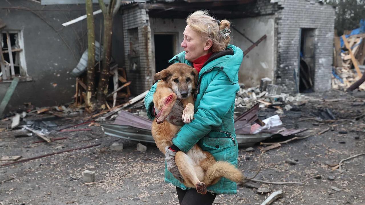 FOTO: Evakuasi Anjing Terluka Usai Serangan Rusia Hantam Penampungan Anjing Liar