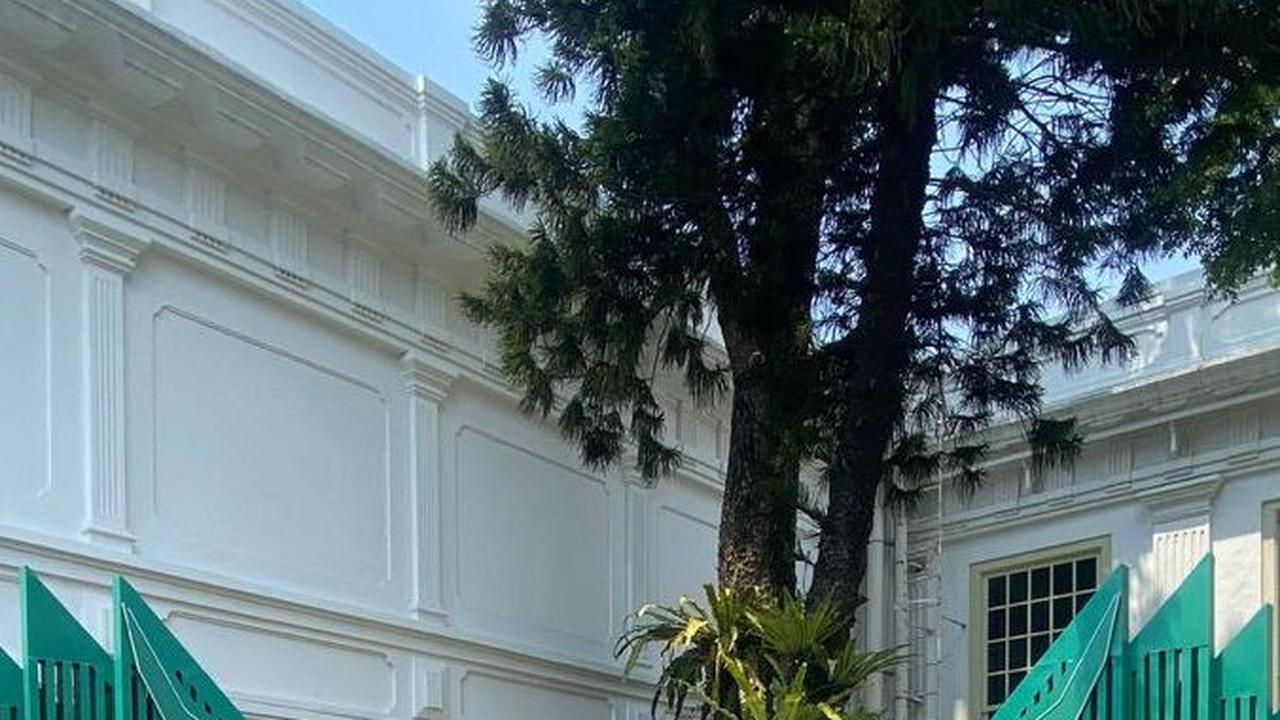Momen Airlangga dan Politikus Golkar Foto Konsolidasi di Istana
