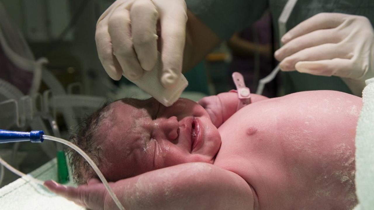 Hukum Aqiqah saat Idul Adha
