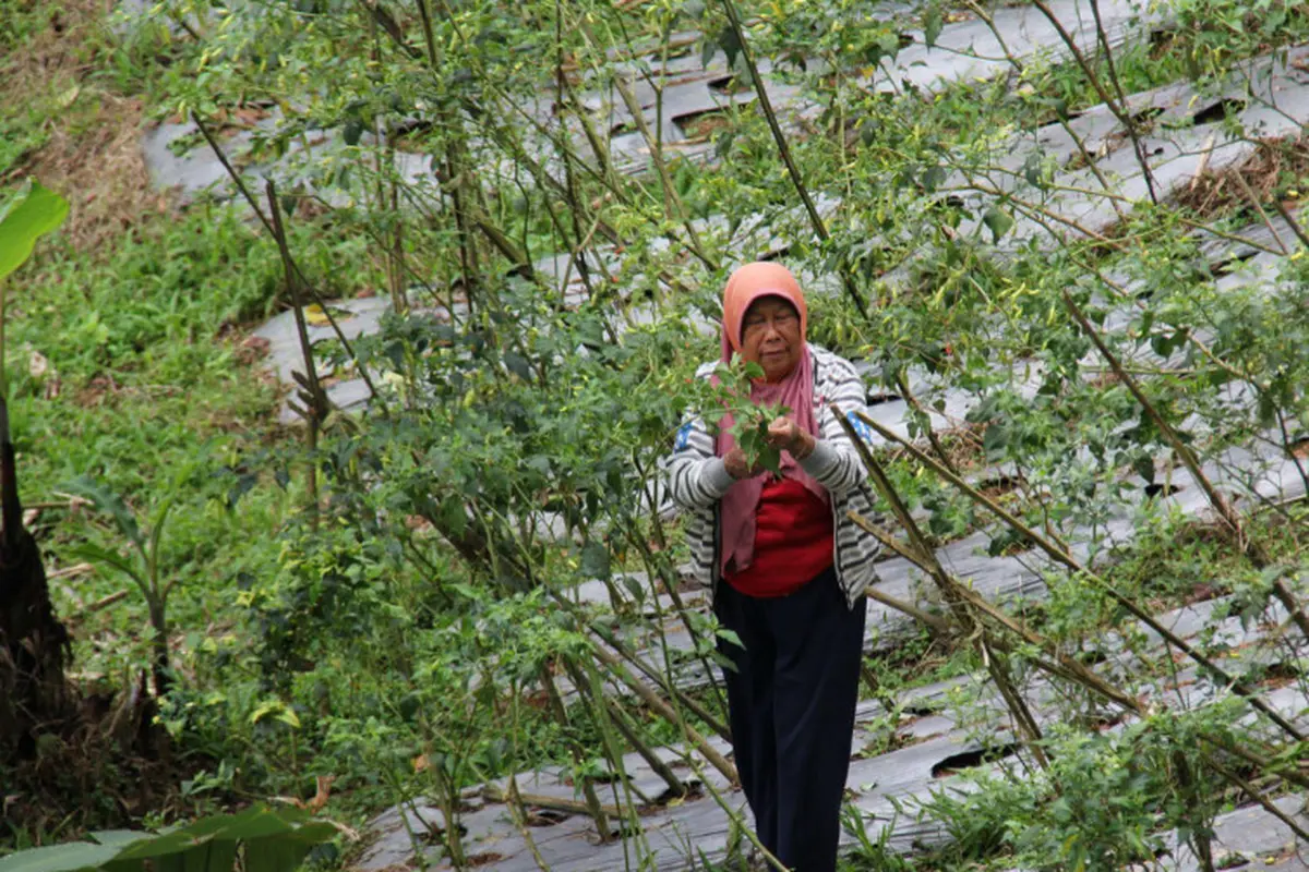 Komitmen Indonesia Dongkrak Kesejahteraan Masyarakat Lewat Dana Pengelolaan Lingkungan