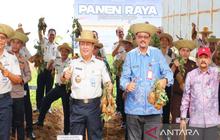 Panen Raya Ditjenpas Kalsel Hasilkan 4,6 Ton Komoditas Pangan, Wujud Pembinaan dan Bakti Sosial