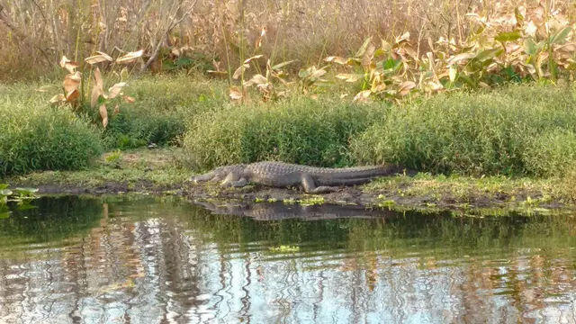 Everglades National Park