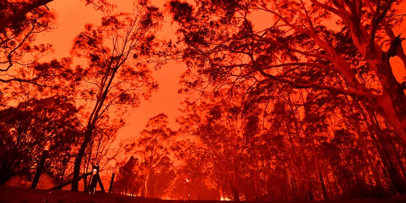 Kebakaran Hutan di Australia Kian Membara