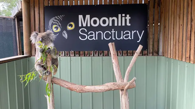 Moonlit Sanctuary Wildlife Conservation Park
