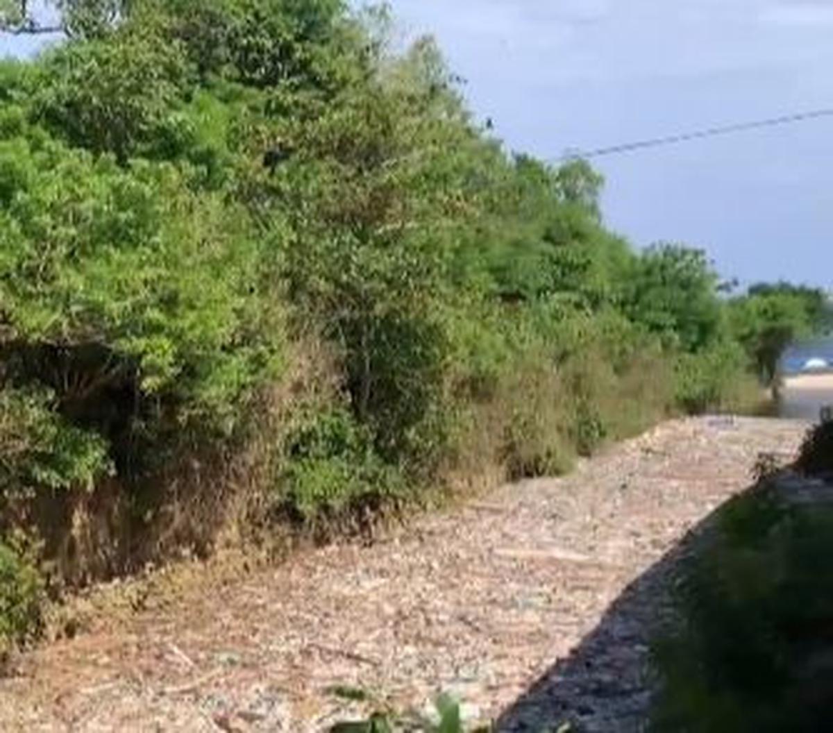"Itu ada 50 truk kayaknya, sekitar 100 ton (sampah)," kata dia, saat dihubungi Senin (18/3).<br>