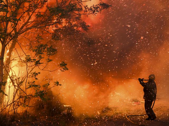11 Penyebab Kebakaran Hutan Ketahui Dampaknya Bagi Lingkungan Hot Liputan6 Com