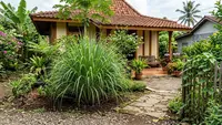 11 Tanaman Pengusir Ular, Aroma Khas Bantu Area Sekitar Rumah Lebih Aman