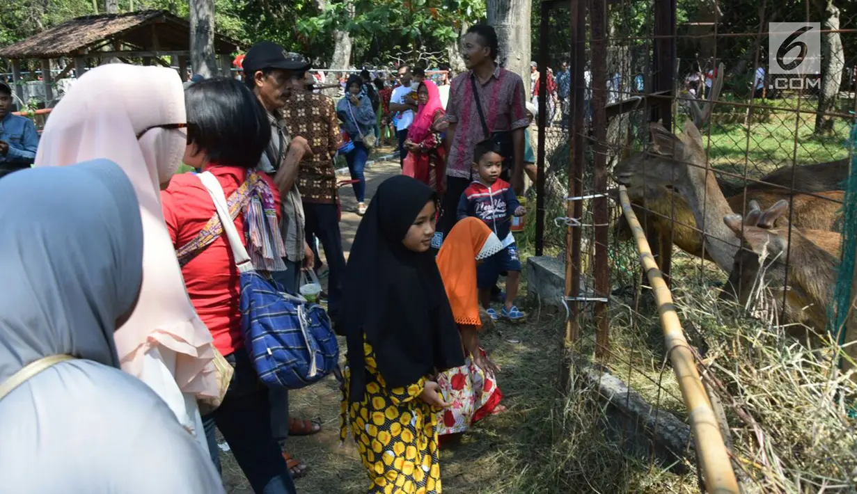 Pengunjung melihat rusa di Taman Margasatwa Semarang, Sabtu (16/6). Menurut pengelola, 10 ribu pengunjung diperkirakan datang dan berlibur di tempat ini dengan menikmati berbagai wahana yang ada. (Liputan6.com/Gholib)
