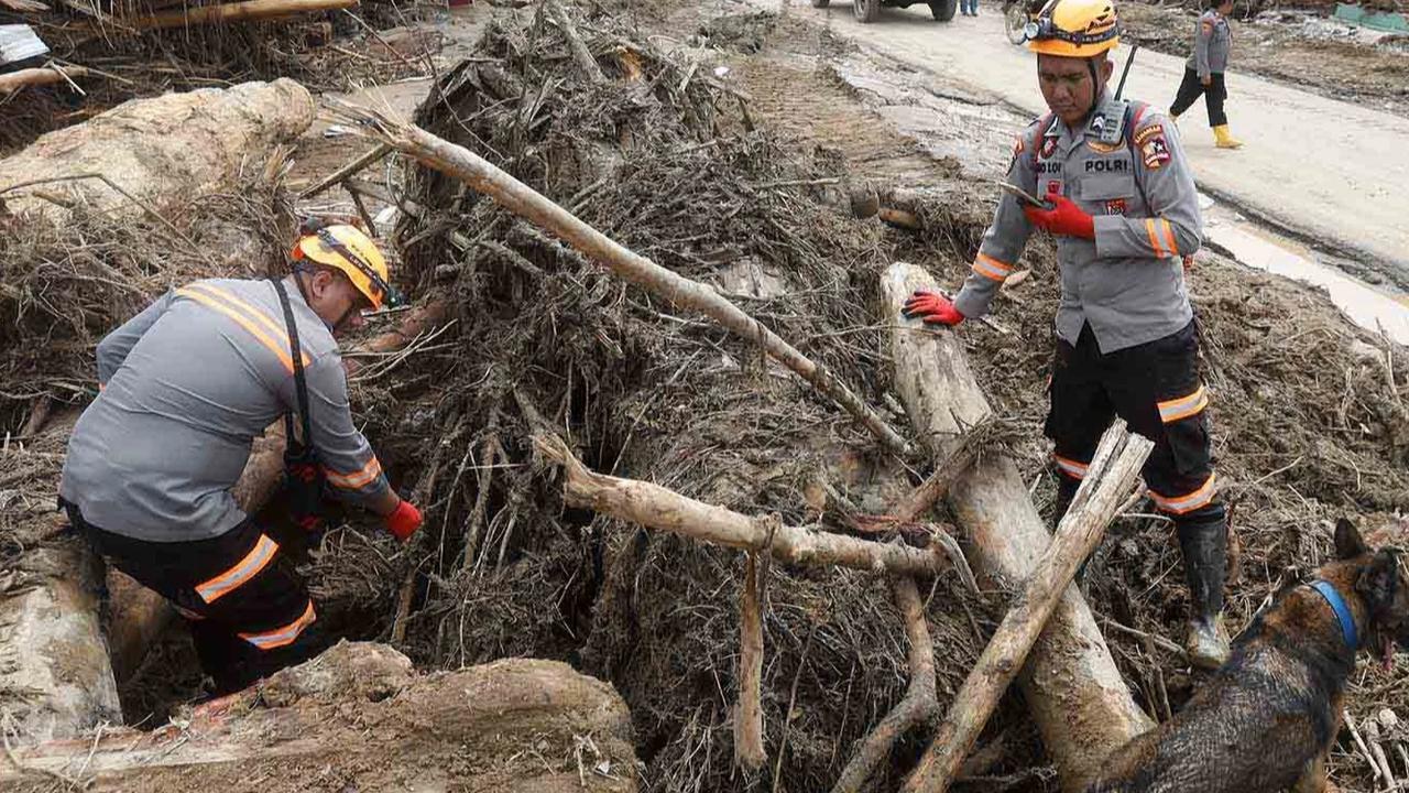 FOTO: Pencarian Korban Banjir Bandang Sumatra Terus Diperluas di Tengah Lonjakan Jumlah Korban