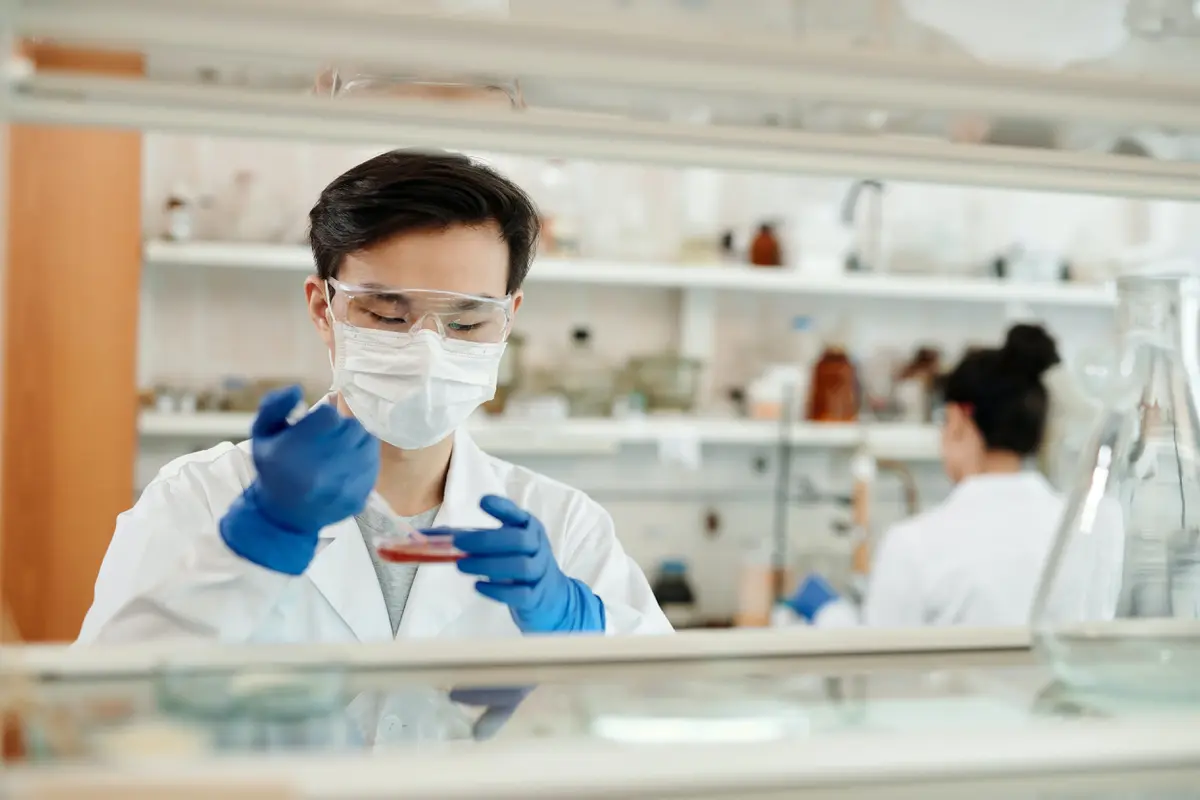 Rapid Test Antibodi