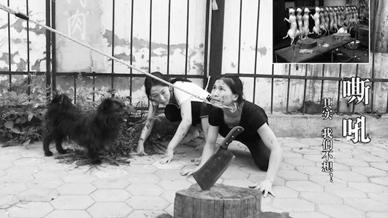 Protes Festival `Makan Daging Anjing`, Orang Ini Tirukan Anjing