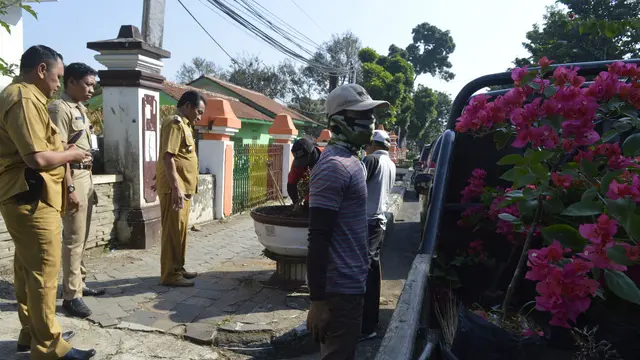 DPKPLH Banjarnegara menanam 600 batang bunga di Jalan Ahmad Yani, Banjarnegara. (Foto: Liputan6.com/Pemkab BNA/Muhamad Ridlo)