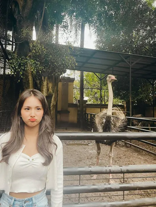 Melihat banyak hewan yang langka dilihat dalam kehidupan sehari-hari, Angie pun banyak mengabadikan momen tak terlupakan tersebut. Dalam media sosial Instagramnya, saat ia berpose bersama burung unta ini pun banyak menuai tanggapan netizen, dengan posenya yang kocak. (Liputan6.com/IG/@angiemstwn)