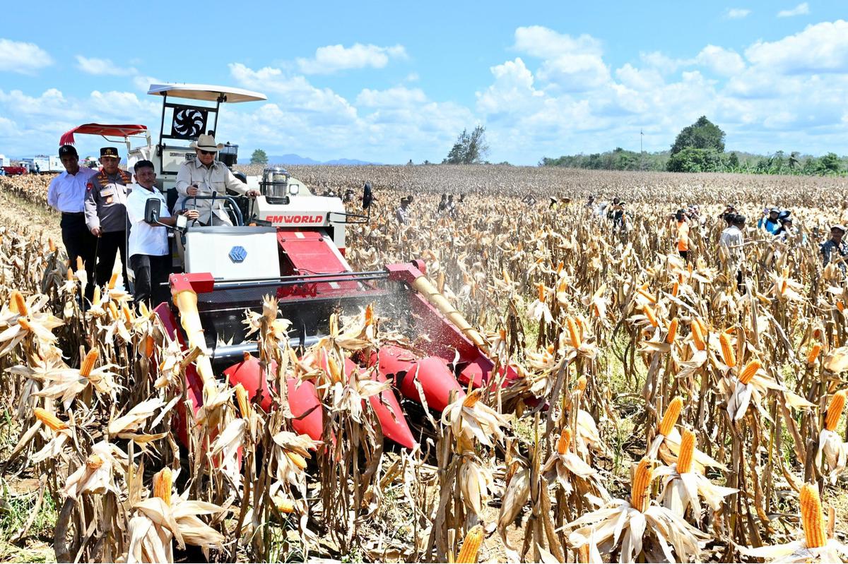 Jenderal Bintang 4 & Menteri Berdiri 'Kawal' Prabowo Naik Traktor di Sawah, Selesai Teddy Merapat
