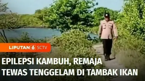 VIDEO: Tercebur Akibat Penyakit Epilepsi Kambuh, Remaja Tewas Tenggelam di Tambak Ikan Surabaya