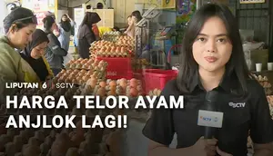 MBG Setop saat Libur Sekolah, Harga Telur Ayam Anjlok Lagi