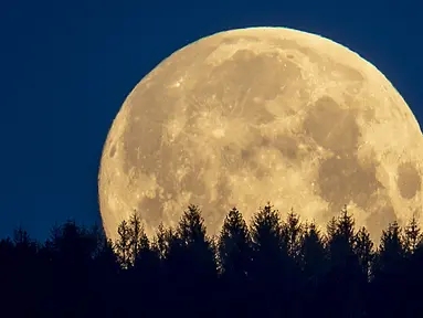 Bulan purnama terlihat di wilayah Taunus, Frankfurt, Jerman, Kamis (7/5/2020). Fenomena supermoon atau di belahan Bumi lain disebut flower moon ini merupakan yang terakhir di tahun 2020. (AP Photo/Michael Probst)