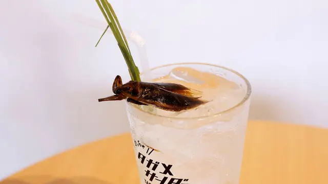 Minuman Serangga