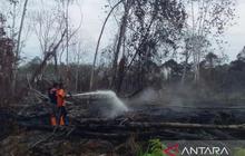 6,5 Hektare Ludes! BPBD Aceh Barat Berpacu Padamkan Kebakaran Lahan, Ternyata Ini Dampaknya