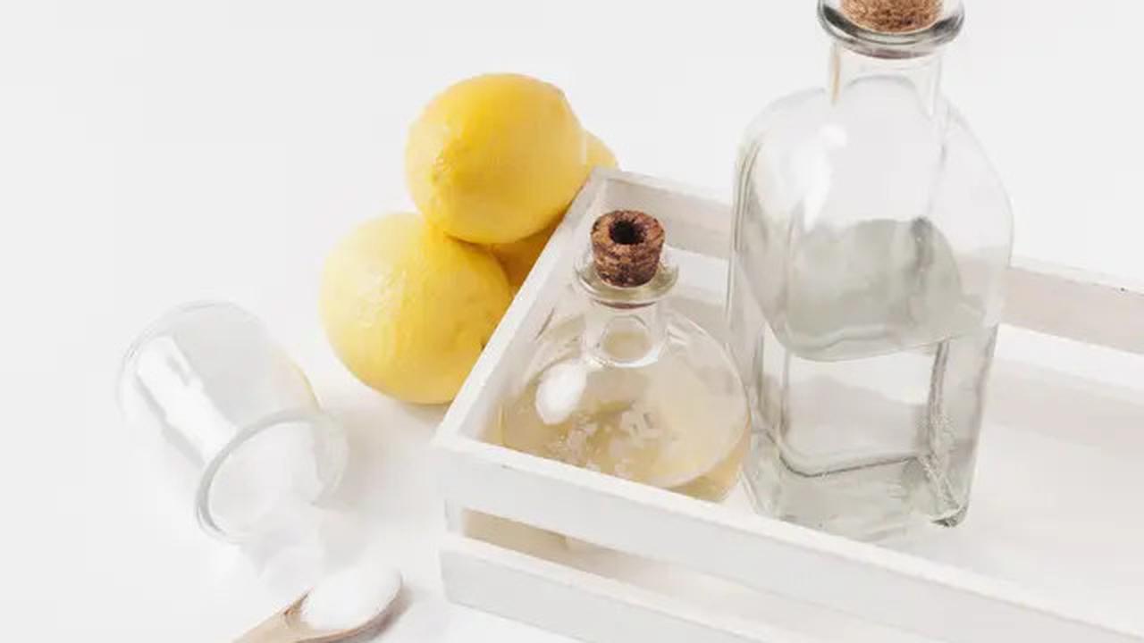 7 Bahan Dapur yang Ampuh untuk Mengusir Ular di Rumah