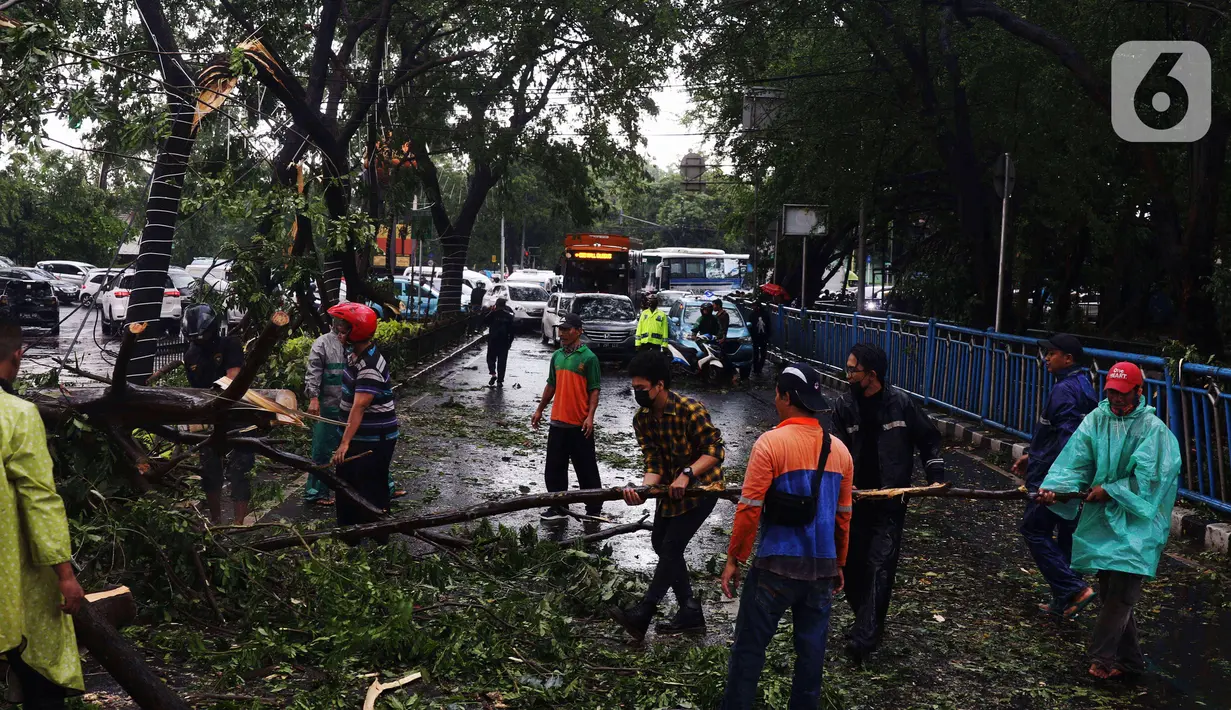 Warga membersihkan dahan pohon tumbang yang melintang di sebuah jalan di Kota Tangerang, Banten, Kamis (23/12/2021). Puluhan pohon dan gapura tumbang akibat terjangan angin kencang saat hujan lebat melanda Kota Tangerang. (Liputan6.com/Angga Yuniar)