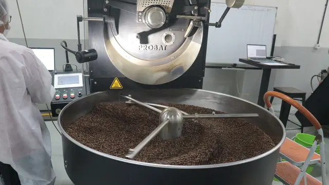 Pabrik Roasting Kopi Common Grounds