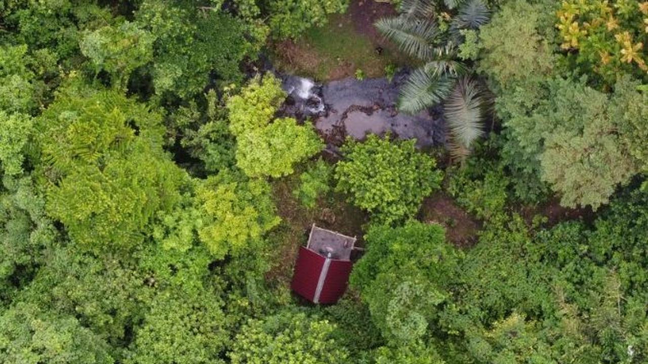 Dapat Dana Karbon, Kutai Timur Fokuskan ke Desa