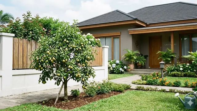 Pohon Buah Berakar Tidak Merusak Pondasi Pagar
