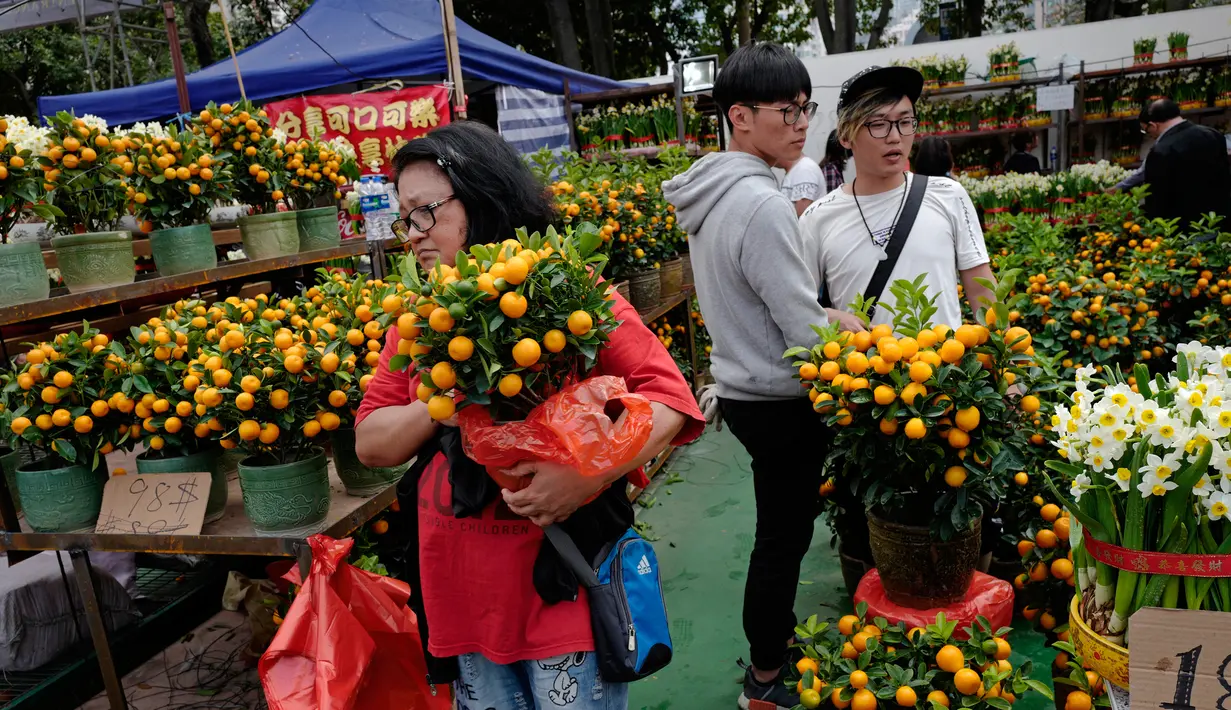 Warga Hong Kong berburu jeruk Mandarin untuk menyambut Tahun Baru Imlek di Victoria Park, Senin (4/2). (AP Photo/Vincent Yu)