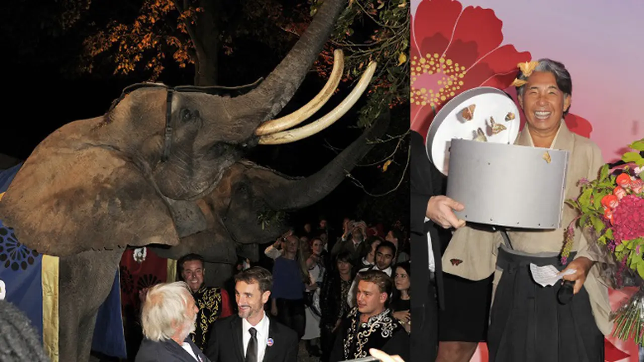 Kenzo Takada - 50 Years in Paris 0915