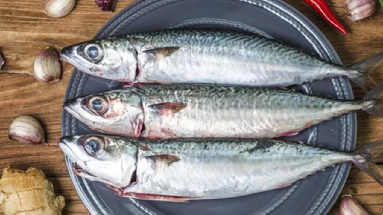Ikan Krismon: Kisah Ikan Lemuru Penyelamat Gizi di Tengah Krisis Moneter 1998