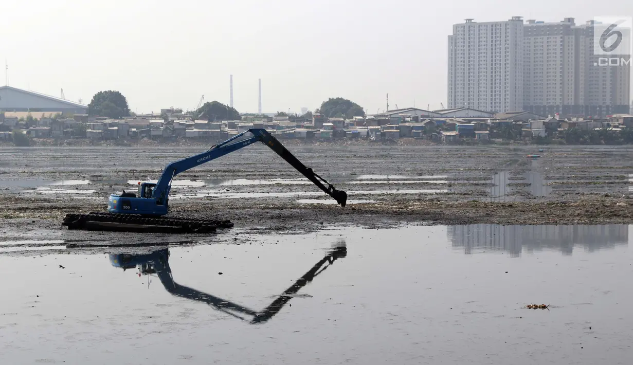 Alat berat milik Pemprov DKI Jakarta melakukan pengerukan endapan lumpur di Waduk Pluit, Jakarta, Selasa (11/6/2019). Pengerukan ini untuk mencegah terjadinya pendangkalan permukaan waduk. (Liputan6.com/Helmi Fithriansyah)