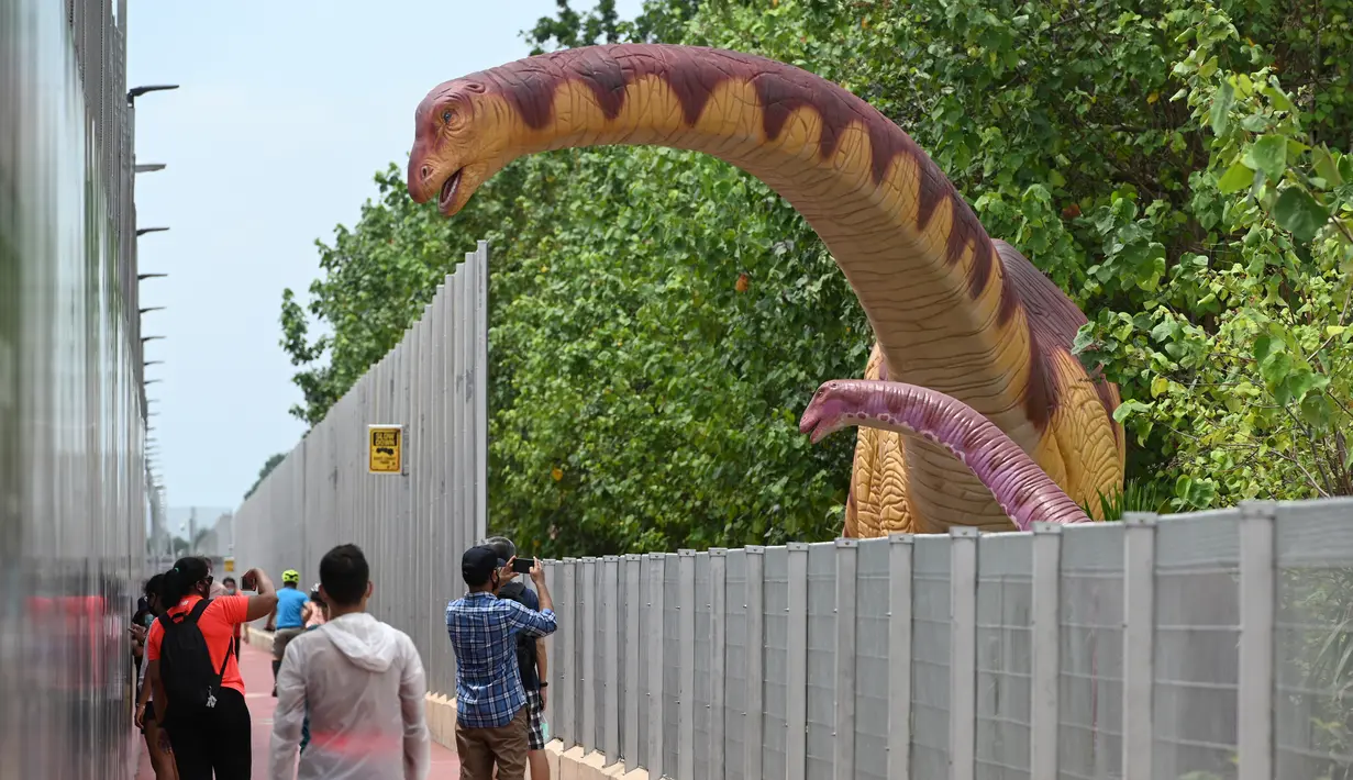 Orang-orang berhenti untuk mengambil foto replika dinosaurus seukuran aslinya yang dipajang di sepanjang "Changi Jurassic Mile" jalan santai di Singapura (13/10/2020). Singapura membangun replika-replika dinosaurus di jalur menunju bandara Changi. (AFP/Roslan Rahman)