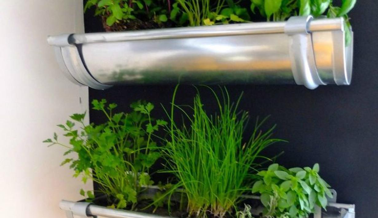 10 Ide Kreatif Manfaatkan Pipa Air  Jadi Pot  Bunga  Taman 